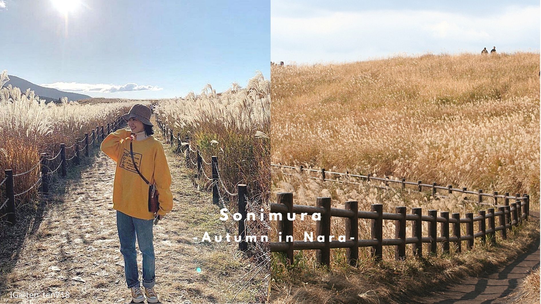 奈良景點│秋季限定賞芒之旅，一起造訪日本最美麗的村莊之一「曾爾村」