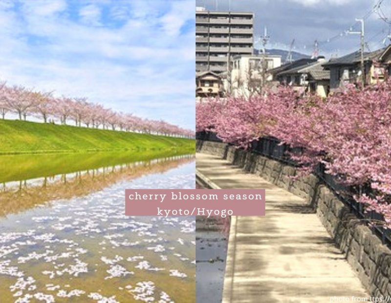 京阪神好時光