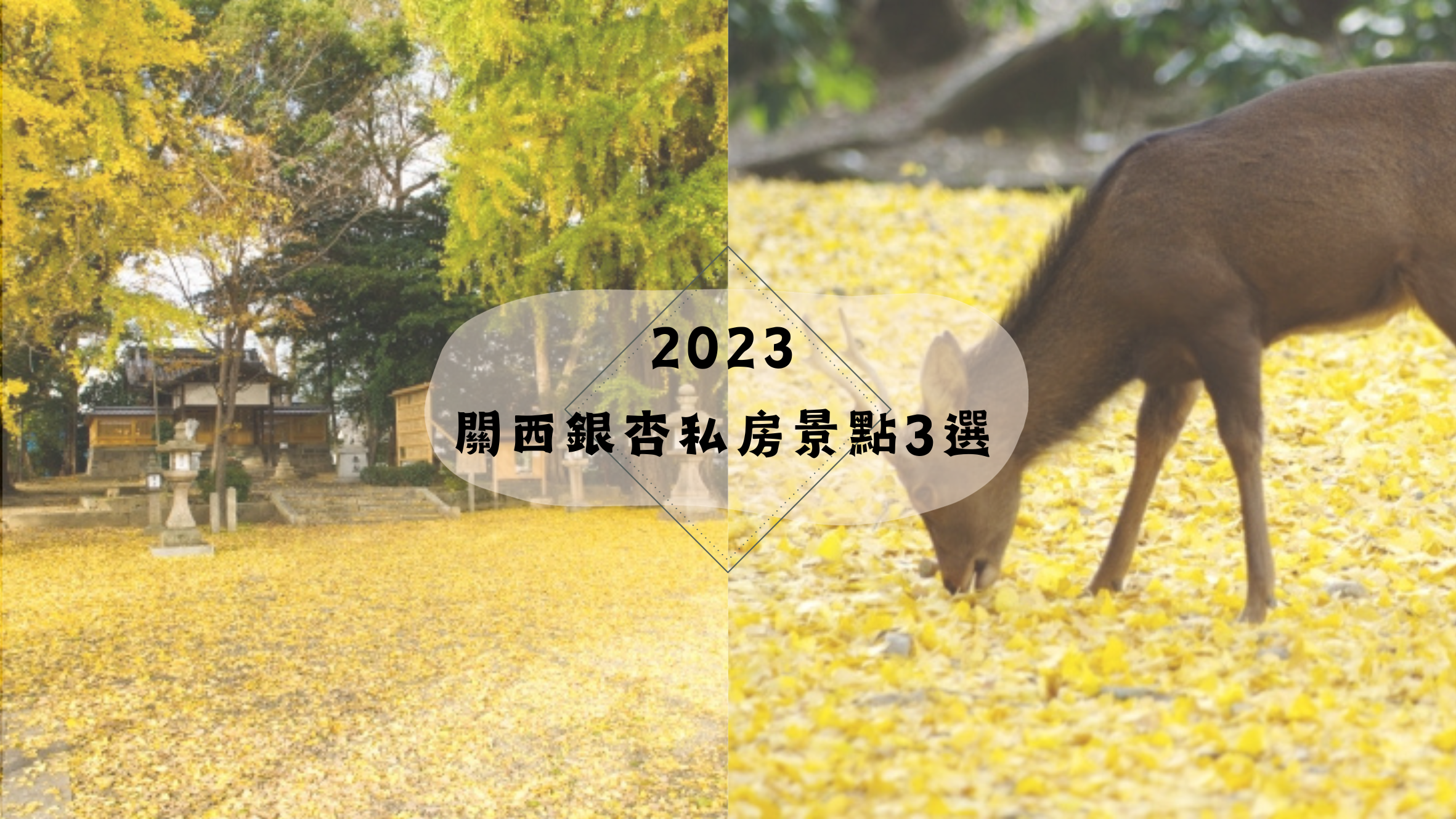 【2023年日本關西銀杏景點3選】秋季限定，不能錯過！